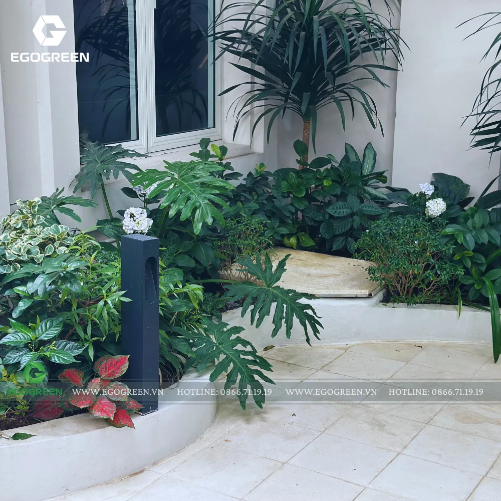 Góc sân vườn EGOGREEN bàn giao công trình cho gia chủ.